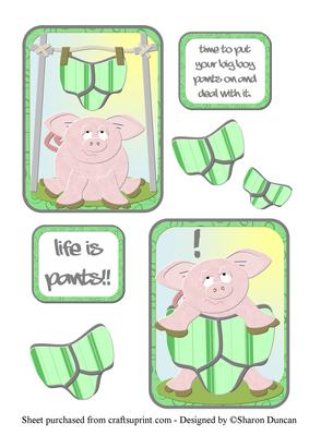 Funny Pigs in Pants Toppers - Boys
