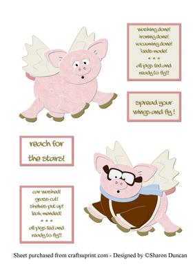 Funny Flying Pigs Toppers