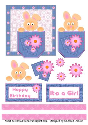 Pocket Pals - Girl