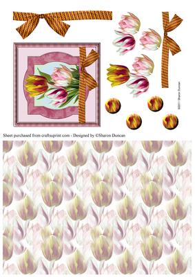 Stunning Tulip Topper & Paper - Pink