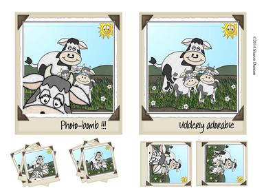 Photobomb! - Udderly Adorable - Cow