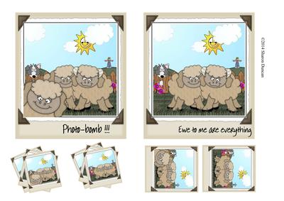 Photobomb! - Ewe to Me Are Everything - Sheep
