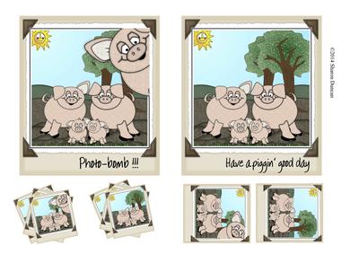 Photobomb! - Piggin Good Day - Pigs