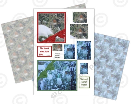 LITTLE ROBINS PHOTOGRAPHIC TOPPERS AND PAPERS