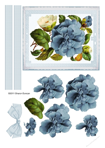 Assorted toppers and accessories  - big bloom - blue