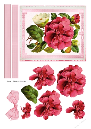 Assorted toppers and accessories  - big bloom - pink