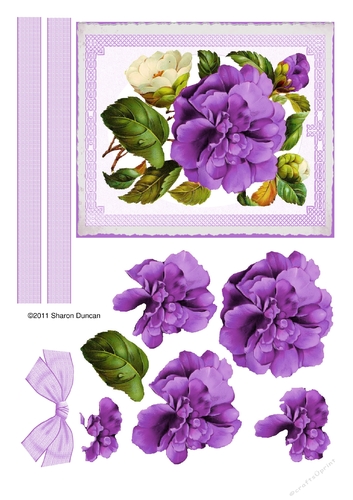 Assorted toppers and accessories  - big bloom - purple
