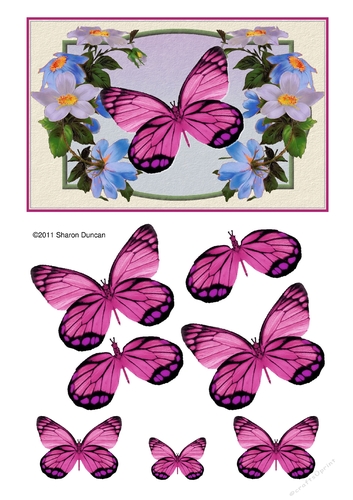 Assorted toppers and accessories  - butterfly blooms - pink