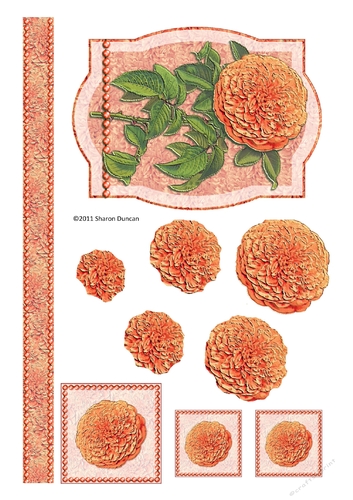 Assorted toppers and accessories  - chrysanthemum - orange
