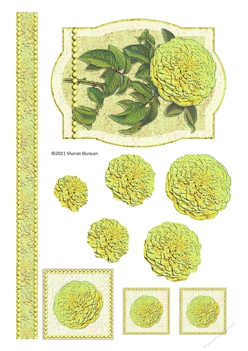 Assorted toppers and accessories  - chrysanthemum - yellow