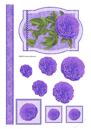 Assorted toppers and accessories  - chrysanthemum - lilac