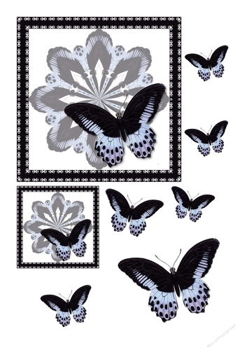 Square Butterfly Topper - Black
