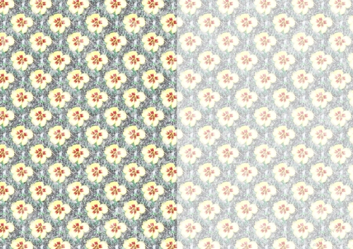 Photoflowers Teabag Paper - 2 tone - lemon pansy