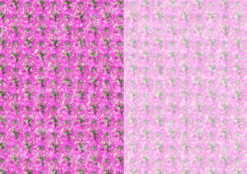 Photoflowers Teabag Paper - 2 tone - bright pink