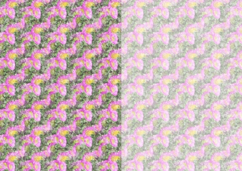 Photoflowers Teabag Paper - 2 tone - aster pink