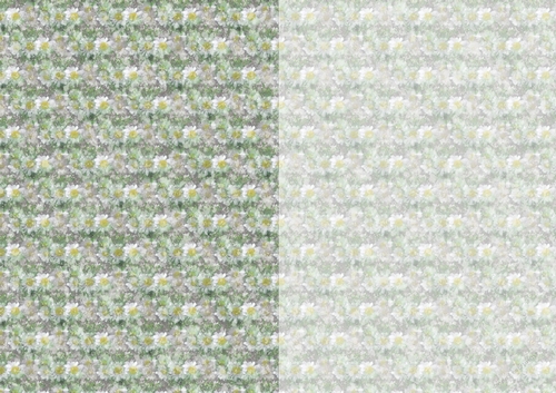 Photoflowers Teabag Paper - 2 tone - daisy white