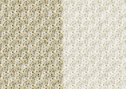 Photoflowers Teabag Paper - 2 tone - aster white