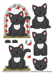 Lucky Black Cat