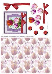 Stunning Tulip Topper & Paper - Lilac