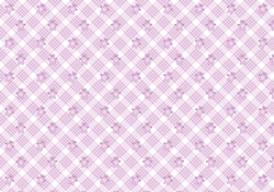 Teddy in My Pocket matching paper - pink