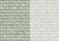 Photoflowers Teabag Paper - 2 tone - daisy white