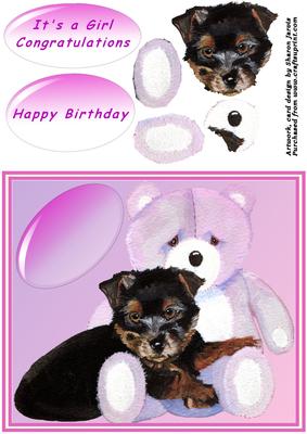 Pink Teddy and Yorkie Puppy