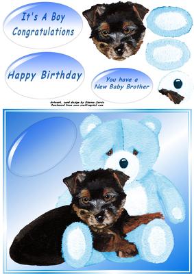 Bear and Yorkie Boy