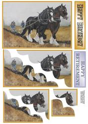 Shire Horses