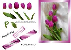 Watercolour Pink Tulip