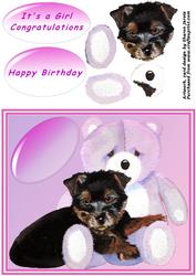 Pink Teddy and Yorkie Puppy