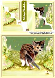 Cute Curious Kitten and Butterfly