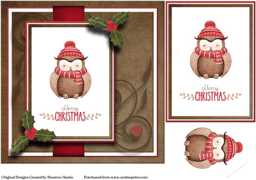 7x7 Christmas Owl Card Front, Topper and decoupage Quick Card 