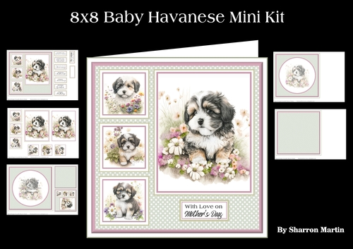 8x8 Baby Havanese Mini Kit - x5 A4 Sheets 