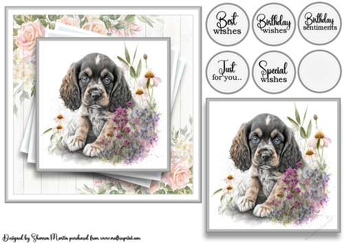 7x7 American Cocker 1 Card Front with Topper and Sentiments