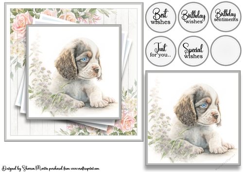 7x7 American Cocker 3 Card Front with Topper and Sentiments