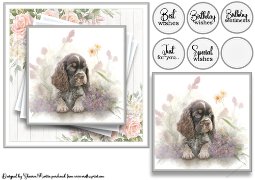 7x7 American Cocker 4 Card Front with Topper and Sentiments