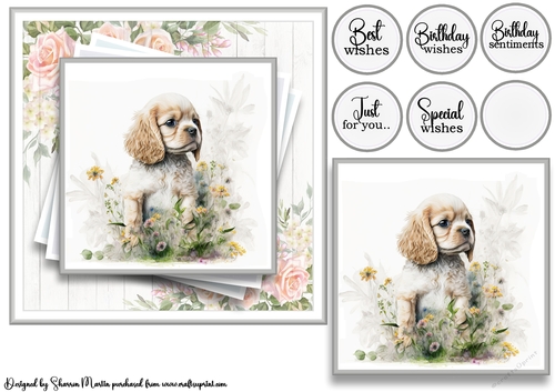 7x7 American Cocker 5 Card Front with Topper and Sentiments