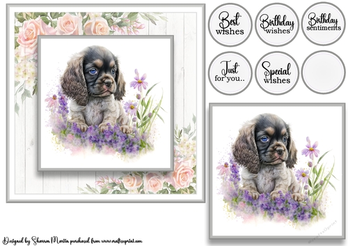 7x7 American Cocker 6 Card Front with Topper and Sentiments