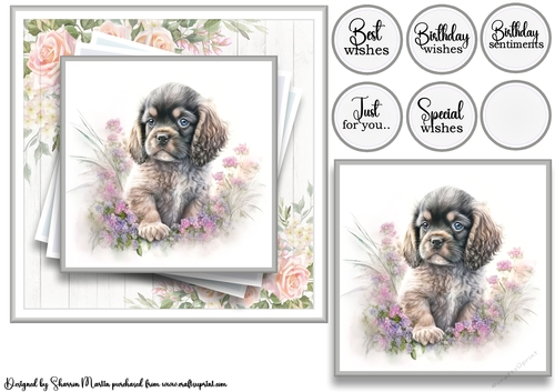 7x7 American Cocker 7 Card Front with Topper and Sentiments