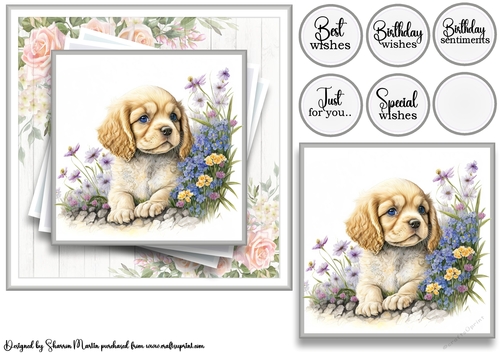 7x7 American Cocker 8 Card Front with Topper and Sentiments