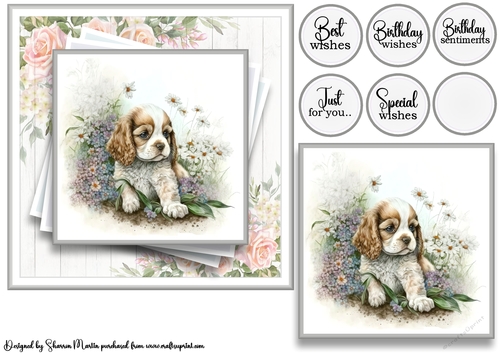 7x7 American Cocker 9 Card Front with Topper and Sentiments