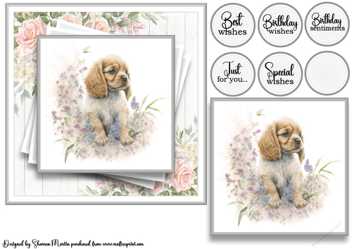 7x7 American Cocker 10 Card Front with Topper and Sentiments
