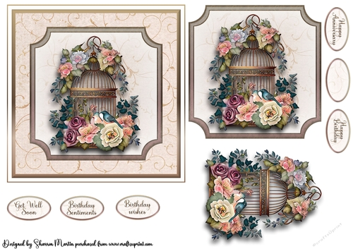 6x6 Bird Cage Card Front with Topper, Decoupage  & Sentiments