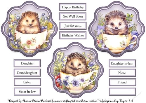 Cute Hedgehogs in a Cup 7-9 Toppers with Sentiments 