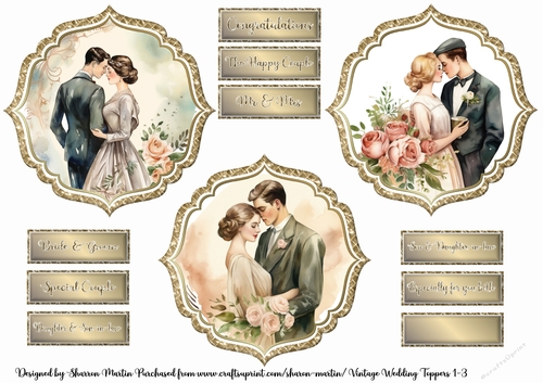 Vintage Wedding Bride & Groom 1-3 Toppers with Sentiments 