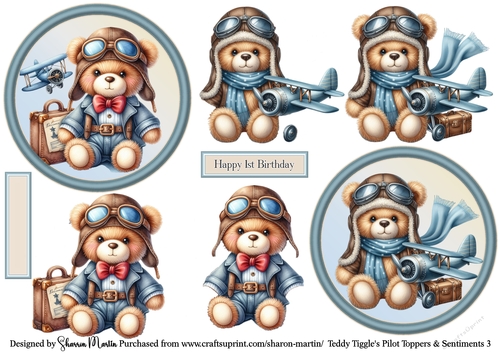 Teddy Tiggles Pilot Toppers 3