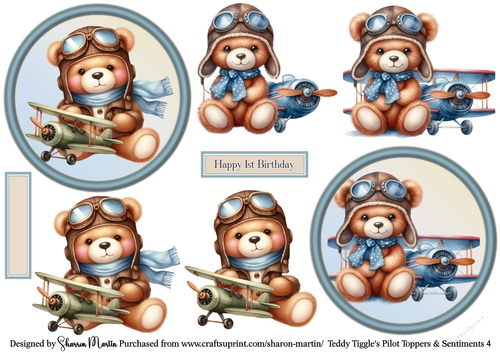 Teddy Tiggles Pilot Toppers 4