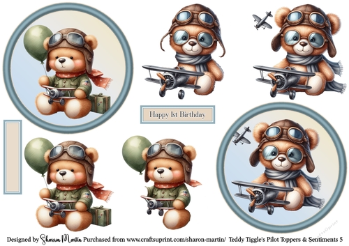 Teddy Tiggles Pilot Toppers 5