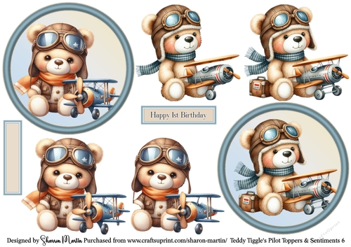 Teddy Tiggles Pilot Toppers 6