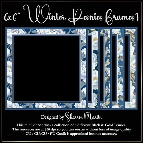 6x6 Winter Peonies Frames 1 - x5 in PNG